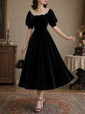 Vintage Velvet A-line Lace Neckline Midi Dress
