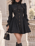 Vintage Neck Tie Puff Sleeve Gold Button Flared Mini Dress
